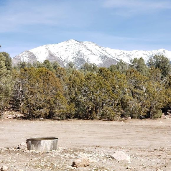 Meet your Posher, Billy - Picture 1 of 1